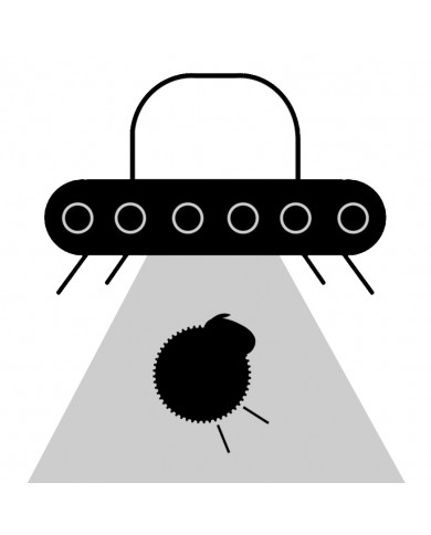 Soluzione Avanzata - Virtual Tour