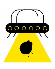 Soluzione Completa - Virtual Tour