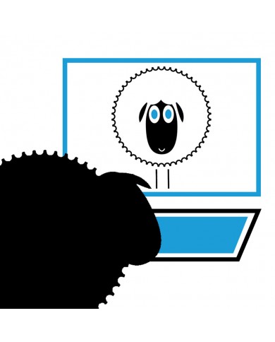 Post produzione grafica