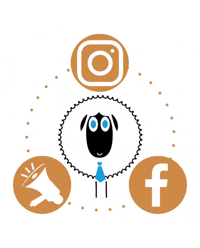 Gestione Base - Social